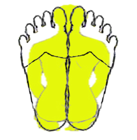 רפלקסולוגיה - השתקפות הגוף בכפות הרגליים