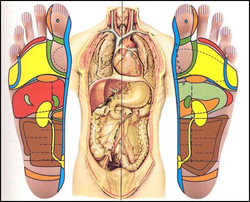 רפלקסולוגיה - השתקפות הגוף בכפות הרגליים