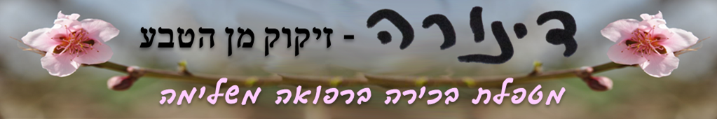 דינורה - דיקוק מן הטבע. מטפלת בכירה ברפואה משלימה