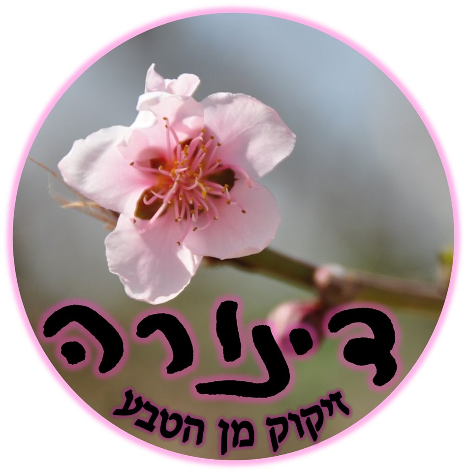 לוגו דינורה קיזמן